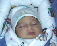 image024.jpg (8797 bytes)